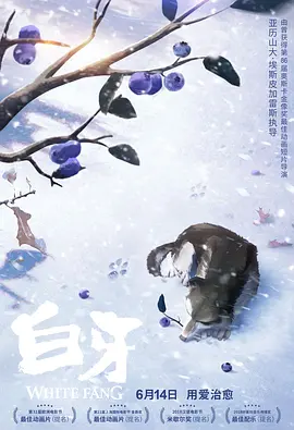 亚洲一区精品视频在线